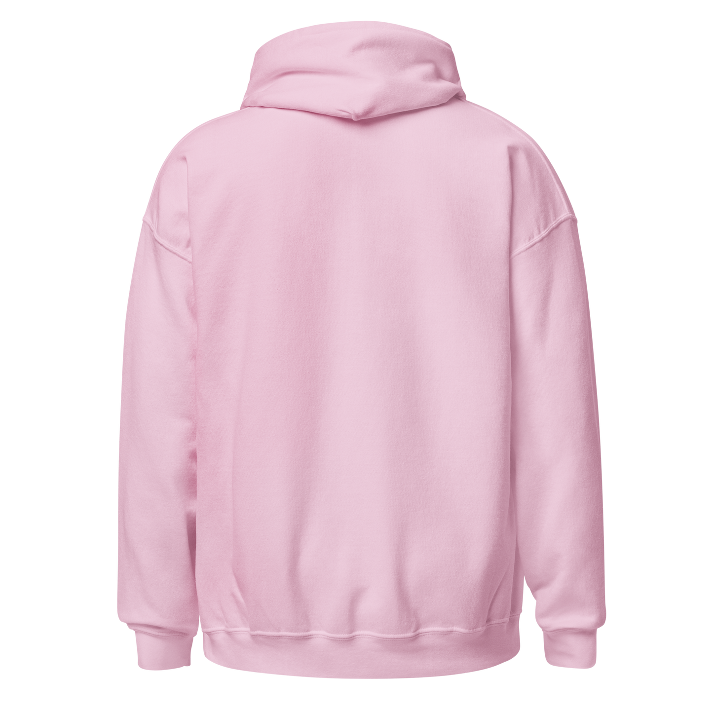 InterVale Premium Hoodie