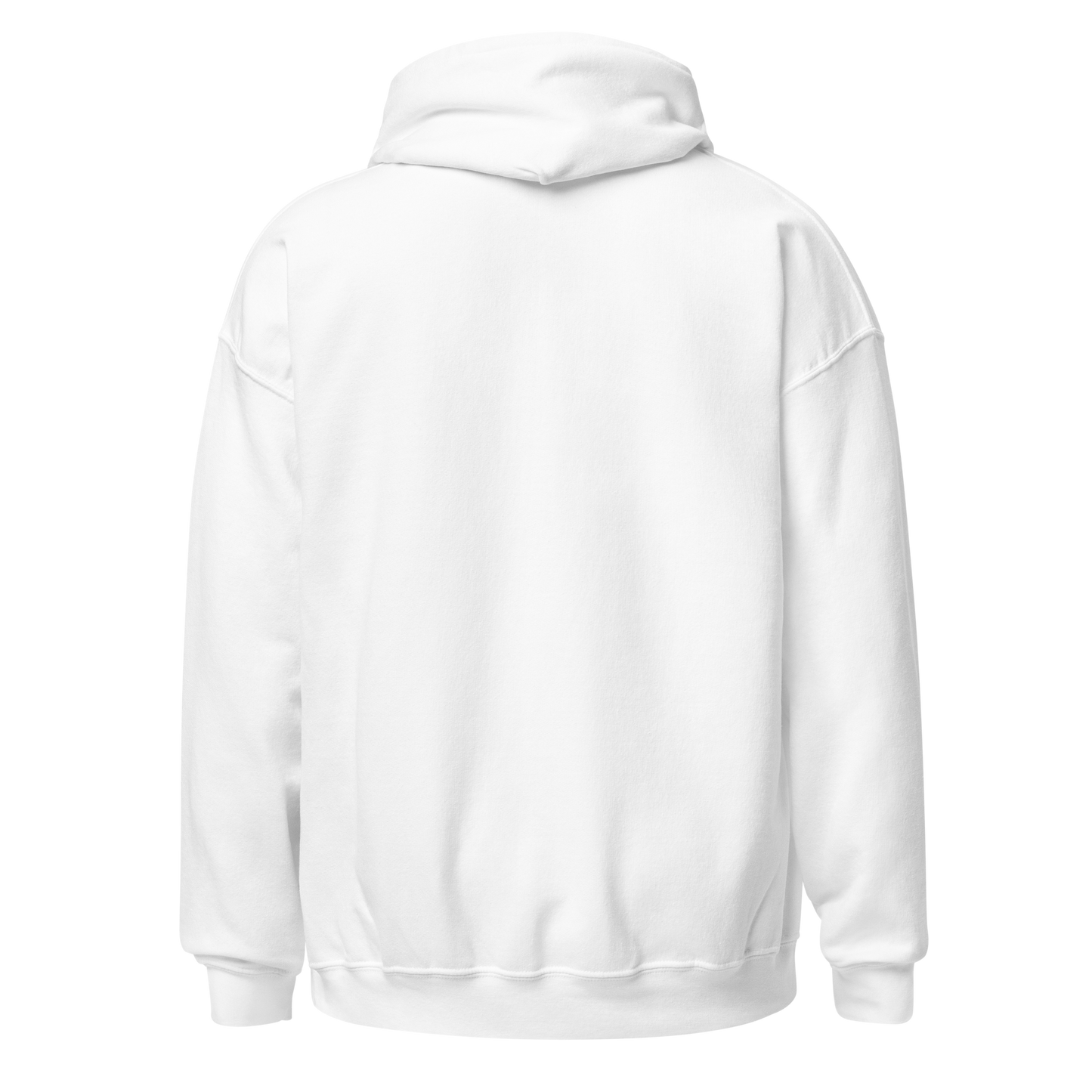 InterVale Premium Hoodie